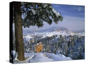 Bryce Canyon in Winter, Utah, USA-Nancy Rotenberg-Stretched Canvas