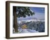 Bryce Canyon in Winter, Utah, USA-Nancy Rotenberg-Framed Photographic Print