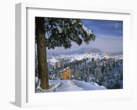 Bryce Canyon in Winter, Utah, USA-Nancy Rotenberg-Framed Photographic Print