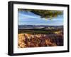 Bryce Canyon National Park, Colourful Rock Pinnacles, Hoodoos at Inspiration Point, Utah-Christian Kober-Framed Photographic Print