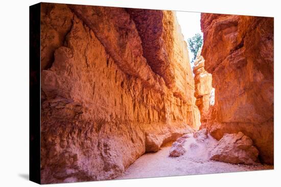 Bryce Canyon National Park in Utah, Usa-Eunika-Stretched Canvas