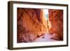 Bryce Canyon National Park in Utah, Usa-Eunika-Framed Photographic Print