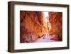 Bryce Canyon National Park in Utah, Usa-Eunika-Framed Photographic Print