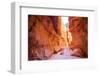 Bryce Canyon National Park in Utah, Usa-Eunika-Framed Photographic Print