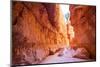 Bryce Canyon National Park in Utah, Usa-Eunika-Mounted Photographic Print