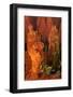 Bryce Canyon National Park Sunrise-mandj98-Framed Photographic Print