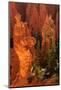 Bryce Canyon National Park Sunrise-mandj98-Mounted Photographic Print