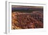 Bryce Canyon National Park, Utah - Canyon Sunset-Lantern Press-Framed Art Print