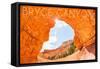 Bryce Canyon National Park, Utah - Natural Bridge-Lantern Press-Framed Stretched Canvas