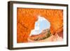 Bryce Canyon National Park, Utah - Natural Bridge-Lantern Press-Framed Art Print