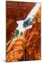 Bryce Canyon National Park, Utah - Navajo Loop Trail-Lantern Press-Mounted Art Print