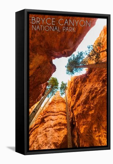 Bryce Canyon National Park, Utah - Navajo Loop Trail-Lantern Press-Framed Stretched Canvas