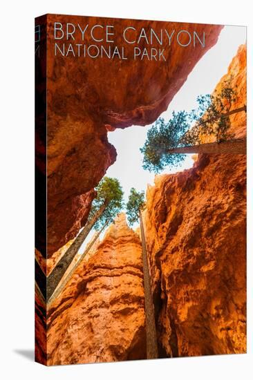 Bryce Canyon National Park, Utah - Navajo Loop Trail-Lantern Press-Stretched Canvas