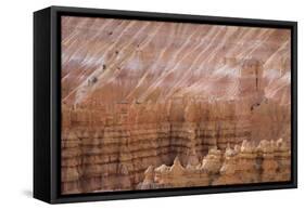 Bryce Canyon National Park, Utah, United States of America, North America-Jean Brooks-Framed Stretched Canvas