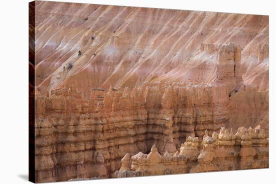 Bryce Canyon National Park, Utah, United States of America, North America-Jean Brooks-Stretched Canvas