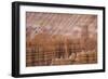 Bryce Canyon National Park, Utah, United States of America, North America-Jean Brooks-Framed Photographic Print