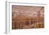 Bryce Canyon National Park, Utah, United States of America, North America-Jean Brooks-Framed Photographic Print