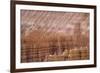 Bryce Canyon National Park, Utah, United States of America, North America-Jean Brooks-Framed Photographic Print