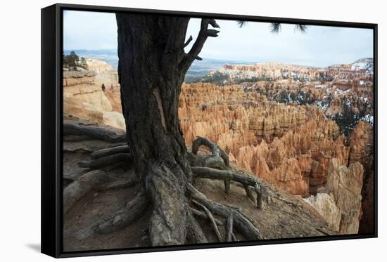 Bryce Canyon National Park, Utah, United States of America, North America-Ethel Davies-Framed Stretched Canvas