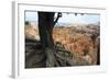 Bryce Canyon National Park, Utah, United States of America, North America-Ethel Davies-Framed Photographic Print