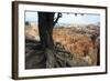 Bryce Canyon National Park, Utah, United States of America, North America-Ethel Davies-Framed Photographic Print