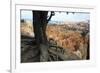 Bryce Canyon National Park, Utah, United States of America, North America-Ethel Davies-Framed Photographic Print