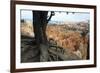 Bryce Canyon National Park, Utah, United States of America, North America-Ethel Davies-Framed Photographic Print