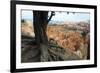 Bryce Canyon National Park, Utah, United States of America, North America-Ethel Davies-Framed Photographic Print