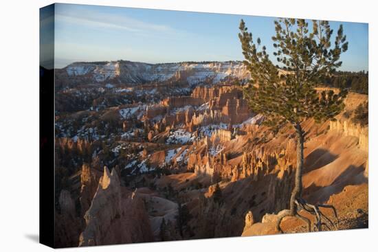 Bryce Canyon National Park, Utah, United States of America, North America-Ethel Davies-Stretched Canvas