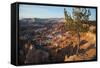 Bryce Canyon National Park, Utah, United States of America, North America-Ethel Davies-Framed Stretched Canvas
