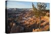 Bryce Canyon National Park, Utah, United States of America, North America-Ethel Davies-Stretched Canvas