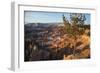 Bryce Canyon National Park, Utah, United States of America, North America-Ethel Davies-Framed Photographic Print