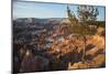 Bryce Canyon National Park, Utah, United States of America, North America-Ethel Davies-Mounted Photographic Print