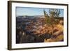 Bryce Canyon National Park, Utah, United States of America, North America-Ethel Davies-Framed Photographic Print