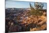 Bryce Canyon National Park, Utah, United States of America, North America-Ethel Davies-Mounted Photographic Print