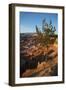 Bryce Canyon National Park, Utah, United States of America, North America-Ethel Davies-Framed Photographic Print