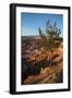 Bryce Canyon National Park, Utah, United States of America, North America-Ethel Davies-Framed Photographic Print