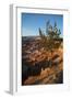 Bryce Canyon National Park, Utah, United States of America, North America-Ethel Davies-Framed Photographic Print