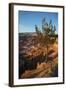 Bryce Canyon National Park, Utah, United States of America, North America-Ethel Davies-Framed Photographic Print