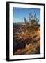 Bryce Canyon National Park, Utah, United States of America, North America-Ethel Davies-Framed Photographic Print