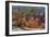 Bryce Canyon National Park, Utah, United States of America, North America-Ethel Davies-Framed Photographic Print