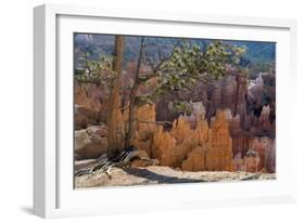 Bryce Canyon National Park, Utah, United States of America, North America-Ethel Davies-Framed Photographic Print