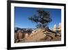 Bryce Canyon National Park, Utah, United States of America, North America-Ethel Davies-Framed Photographic Print