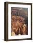 Bryce Canyon National Park, Utah, United States of America, North America-Robert Harding-Framed Photographic Print