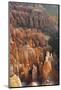 Bryce Canyon National Park, Utah, United States of America, North America-Robert Harding-Mounted Photographic Print