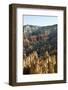 Bryce Canyon National Park, Utah, United States of America, North America-Robert Harding-Framed Photographic Print