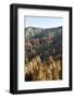 Bryce Canyon National Park, Utah, United States of America, North America-Robert Harding-Framed Photographic Print