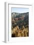 Bryce Canyon National Park, Utah, United States of America, North America-Robert Harding-Framed Photographic Print