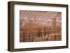 Bryce Canyon National Park, Utah, United States of America, North America-Jean Brooks-Framed Photographic Print