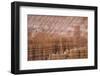 Bryce Canyon National Park, Utah, United States of America, North America-Jean Brooks-Framed Photographic Print